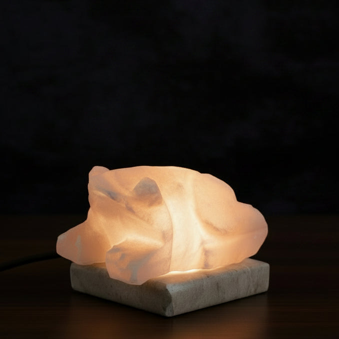 USB Toad Shaped (Multi)