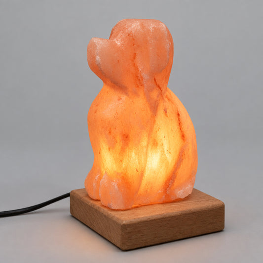 USB Dog Shaped (Multi)