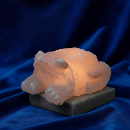 USB Toad Shaped (Multi)
