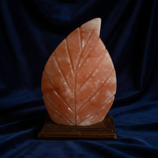 Shape Salt Lamp - Fern
