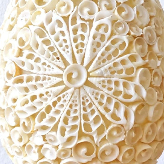 Boho Sea Shell Lamp - Cut Art Shell Oval - 15cm