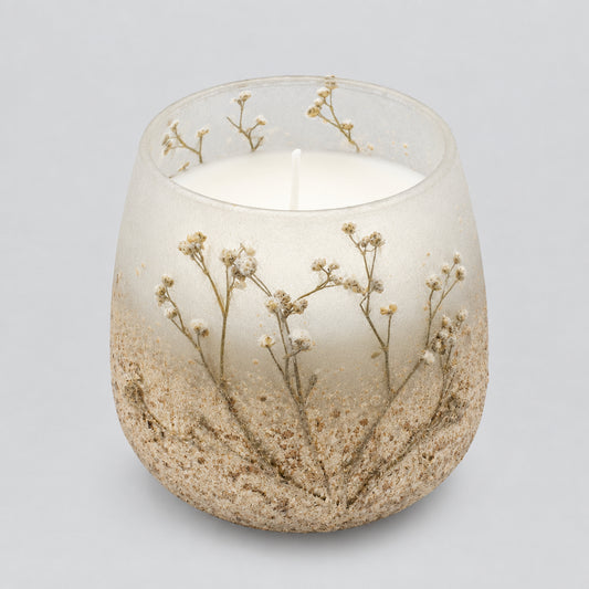 Medium Glass Jar Candles - Wildlight Woods
